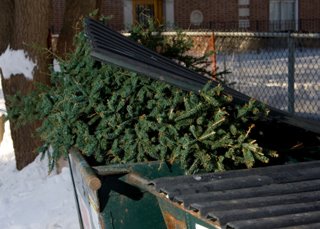 2012-2013 Christmas Tree Recycling Program a Success